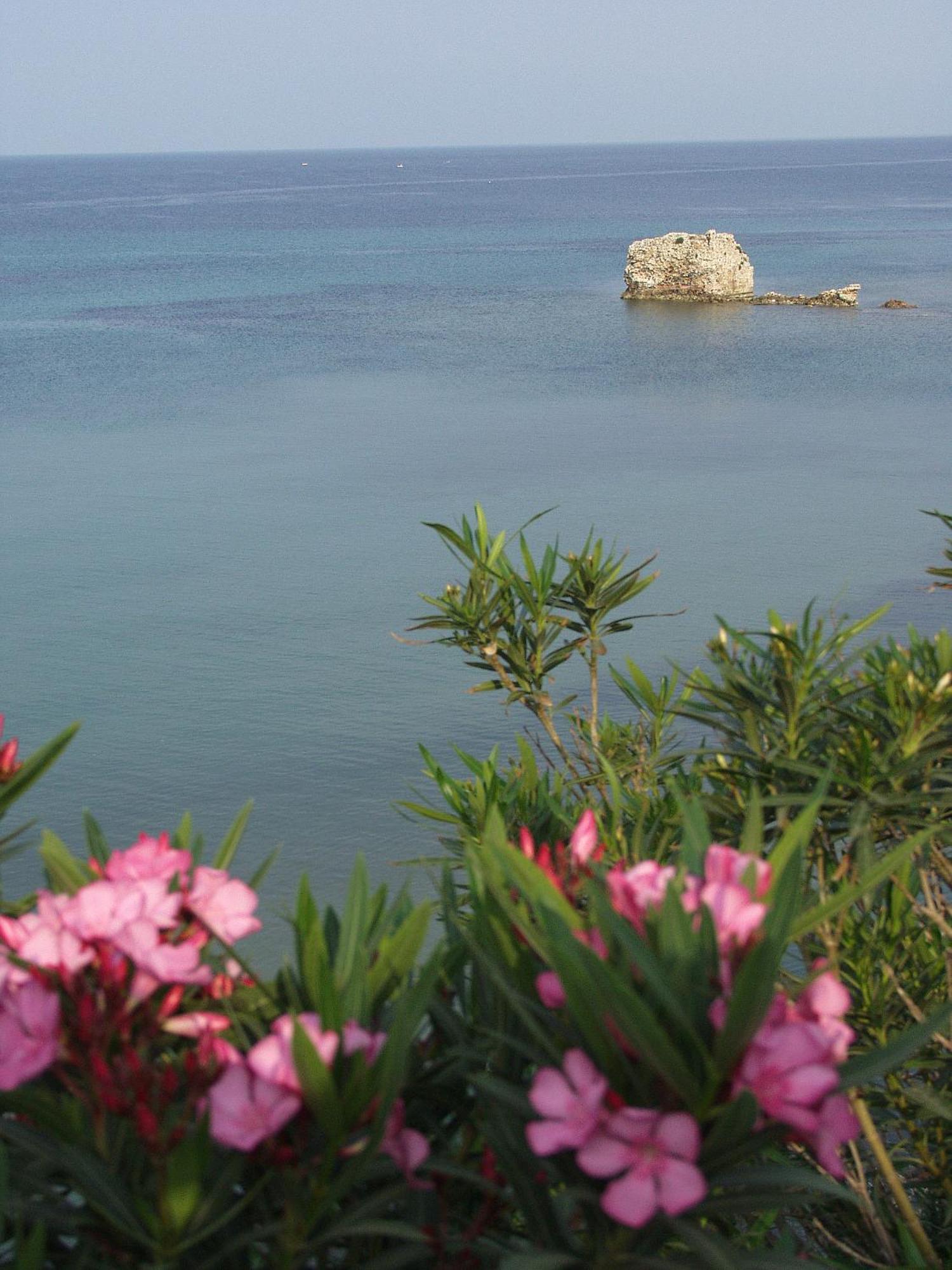 Seaview Aparthotel Νέα Ποτίδαια Εξωτερικό φωτογραφία
