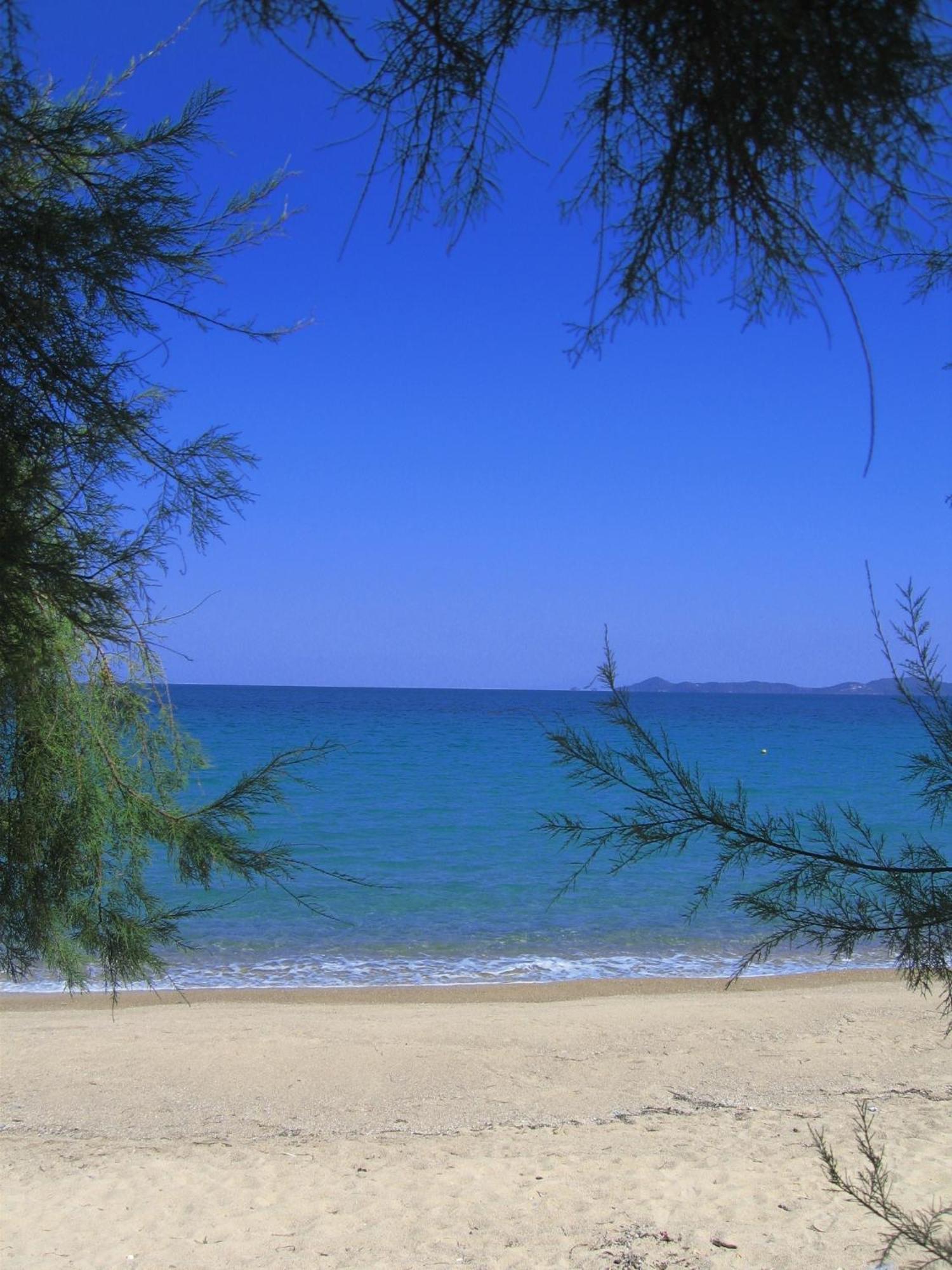 Seaview Aparthotel Νέα Ποτίδαια Εξωτερικό φωτογραφία